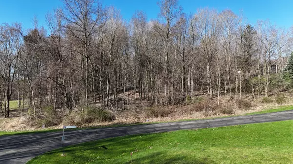 10595 Sun-Da-Go SE Court, Middleville, MI 49333