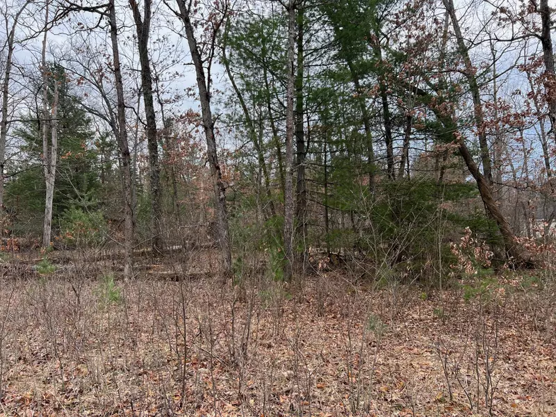 3905 Maple Drive, Wellston, MI 49689