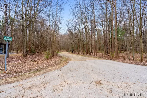 Fennville, MI 49408,10 Collins Wooded Acres