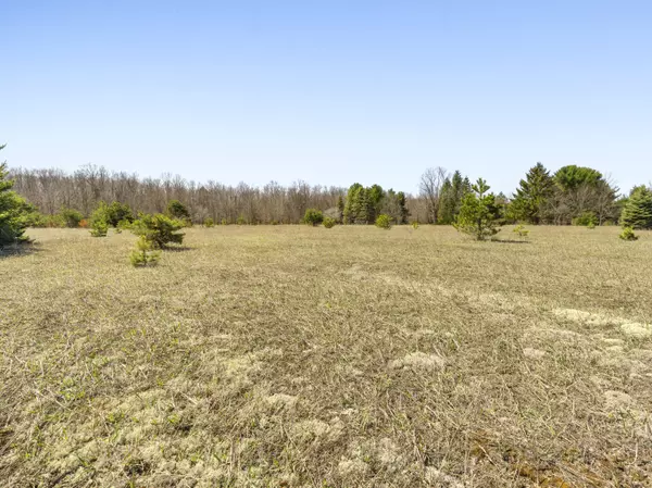 Beulah, MI 49617,Parcel A-2 Stanley Road