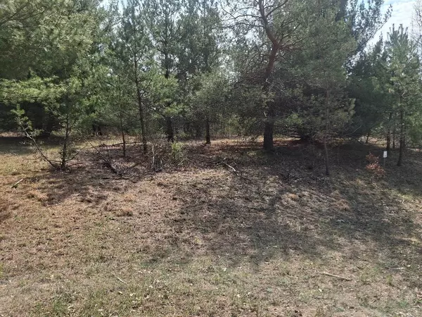 Evart, MI 49631,23-24 RIDGE Road