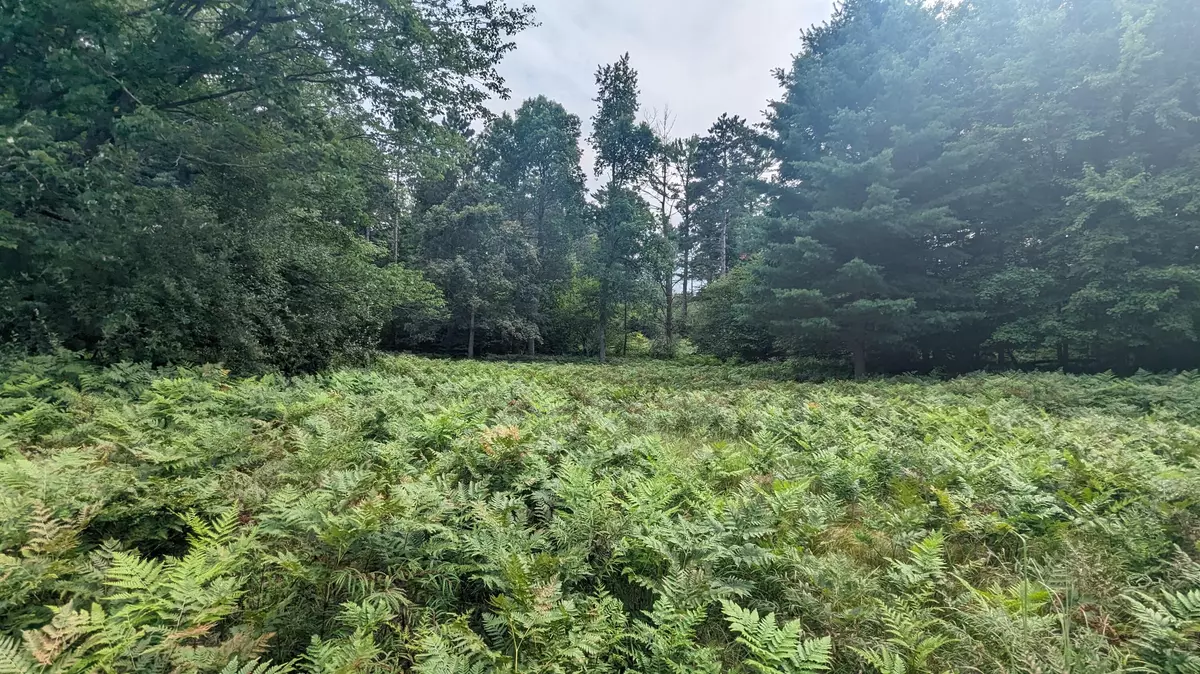 Custer, MI 49405,V/L Meadowview Trail #167