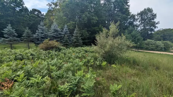 Custer, MI 49405,V/L Meadowview Trail #167