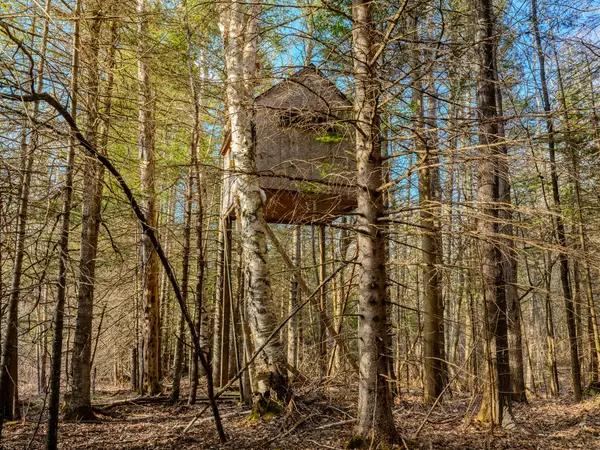 Gulliver, MI 49840,V/L Merwin Creek Road