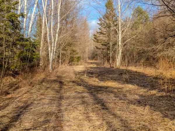 Gulliver, MI 49840,V/L Merwin Creek Road