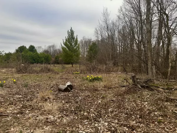 Scottville, MI 49454,VL E Second Street