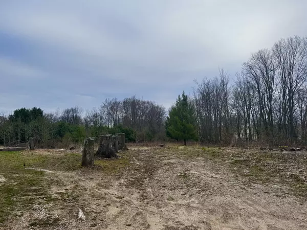 Scottville, MI 49454,VL E Second Street