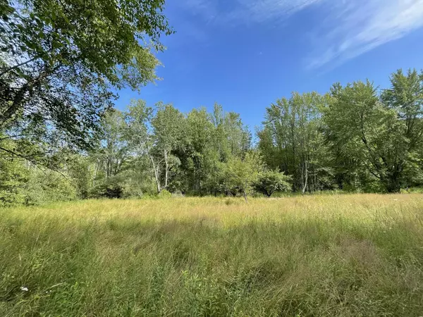Free Soil, MI 49411,1217 E Beyer Road