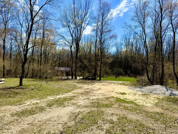 Free Soil, MI 49411,1217 E Beyer Road