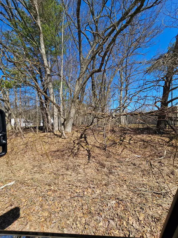 Brohman, MI 49312,000 W Lincoln Street Street