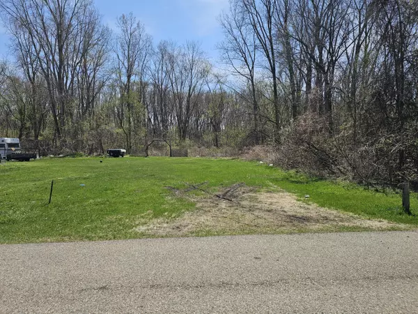 Ionia, MI 48846,Webber Street