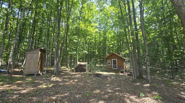 Copemish, MI 49625,Erwin Road