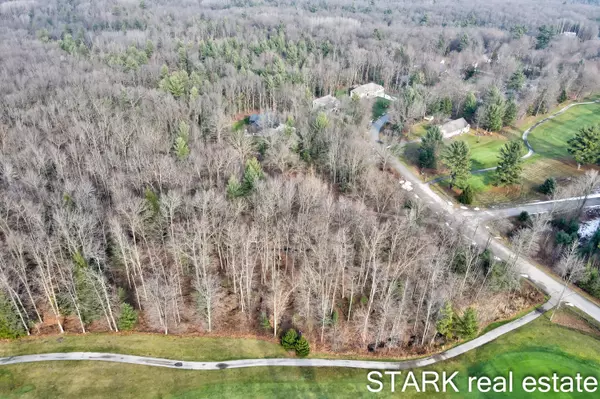 Twin Lake, MI 49457,Lot 124 Austin Road