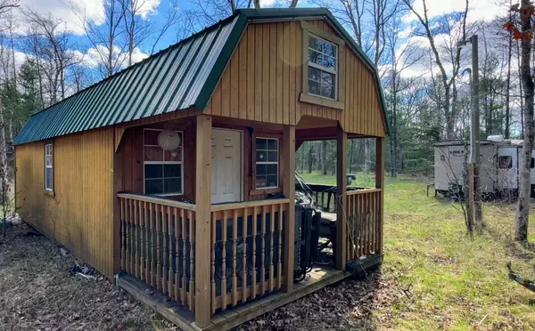 Baldwin, MI 49304,8811 S Greenwood Street