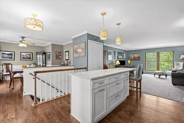 Green Oak Twp, MI 48178,11771 Shenandoah Drive