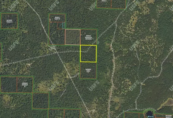 Free Soil, MI 49411,V/L Free Soil