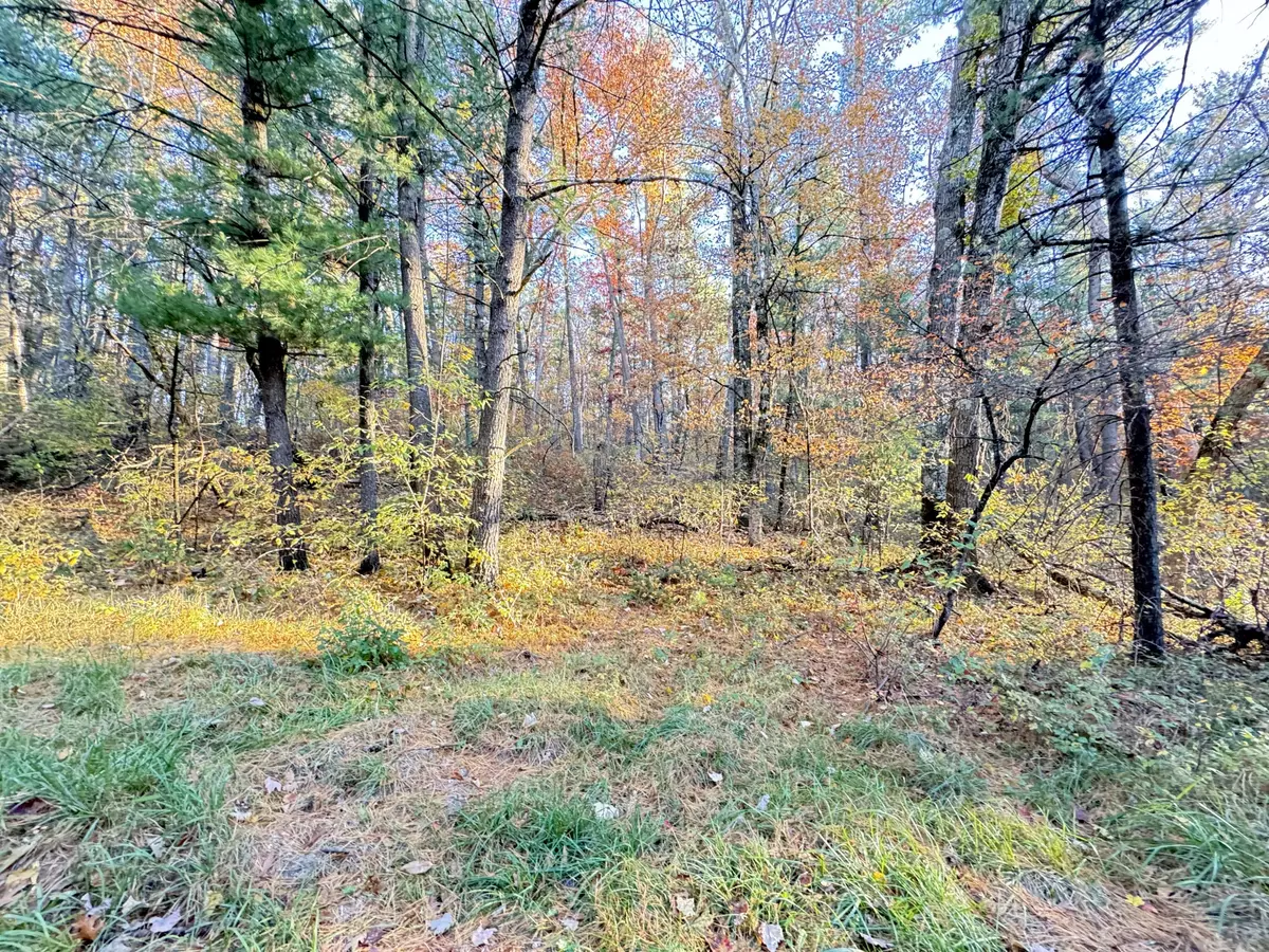 Newaygo, MI 49337,7.32AC E 58Th Street