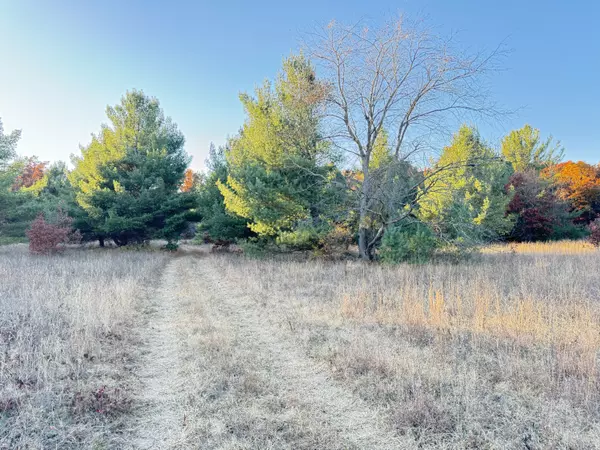 Newaygo, MI 49337,10.05ac Barberry Avenue