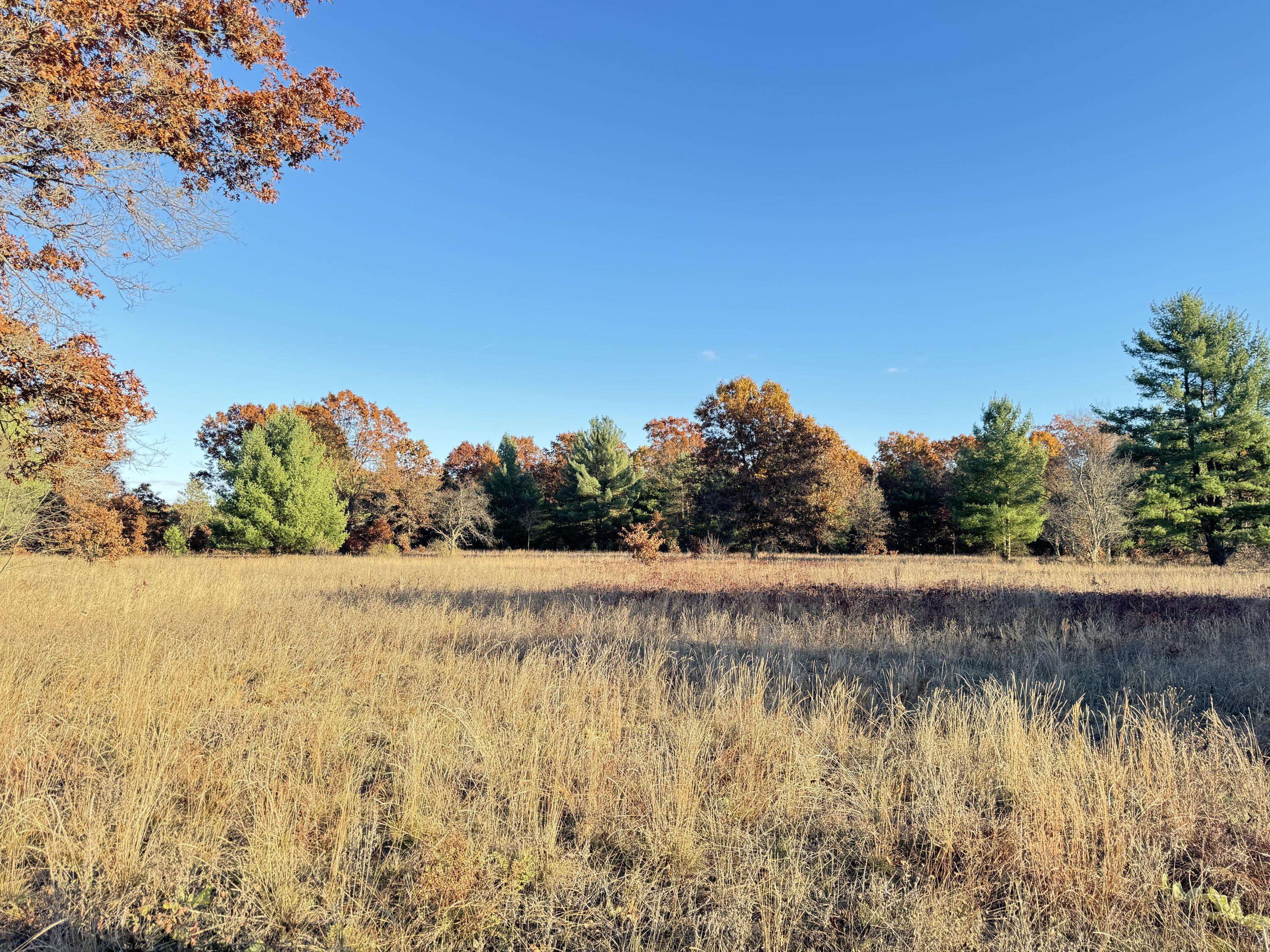 Newaygo, MI 49337,10.05ac Barberry Avenue