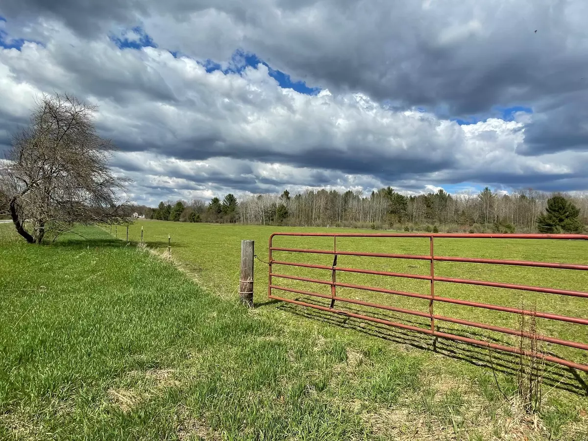 Wellston, MI 49689,Bosschem Road