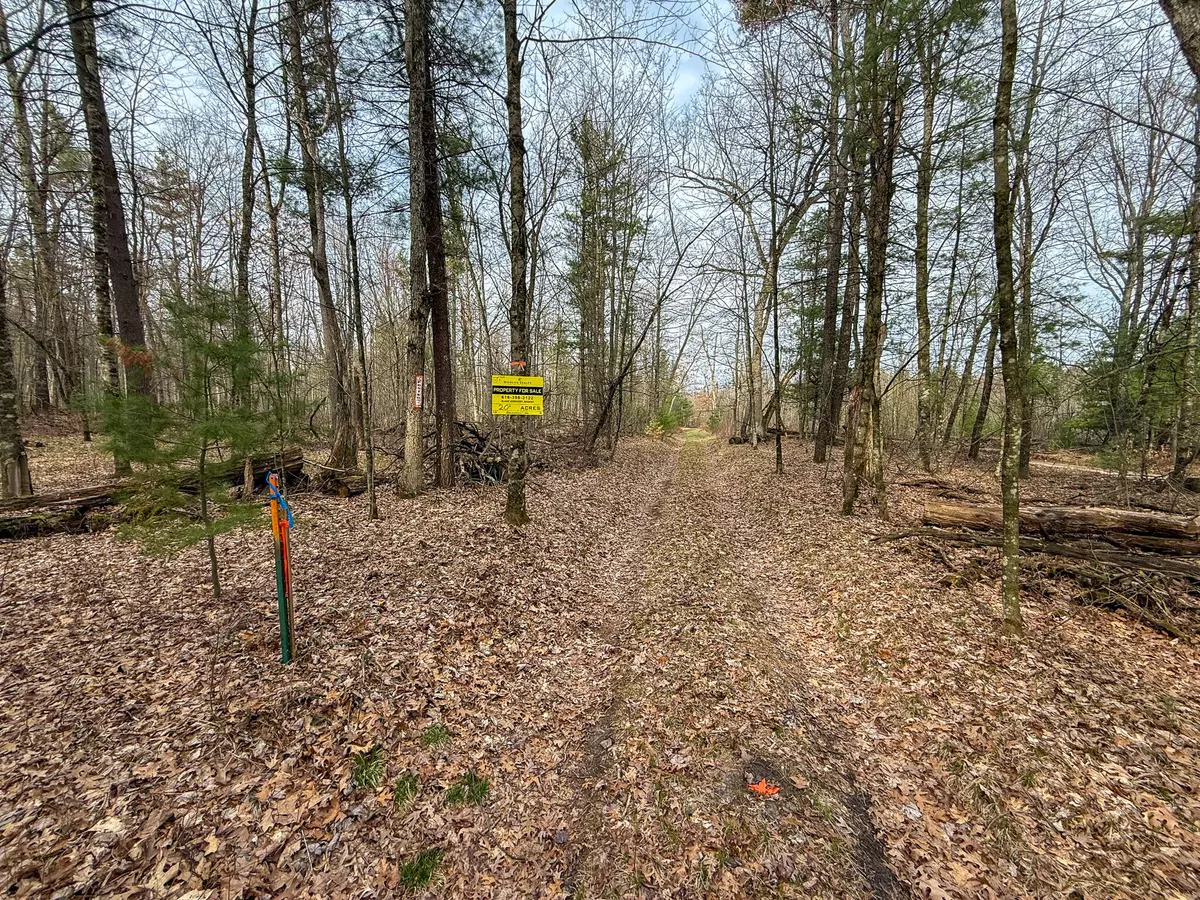 Howard City, MI 49329,1234 Cottonwood Avenue