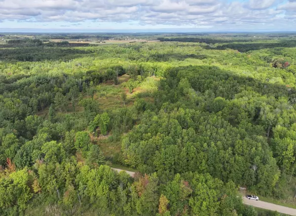 Free Soil, MI 49411,V/L 118A E Townline Road