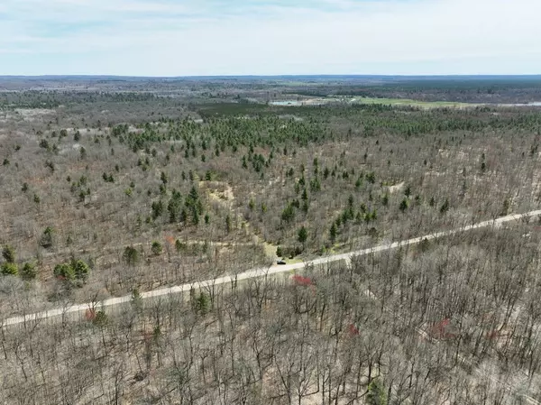 Bitely, MI 49309,11500 N Willow Avenue