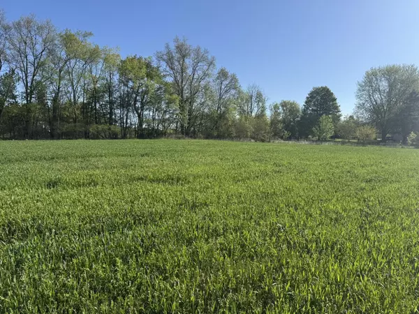 Eaton Rapids, MI 48827,Lot A Stoney Lane