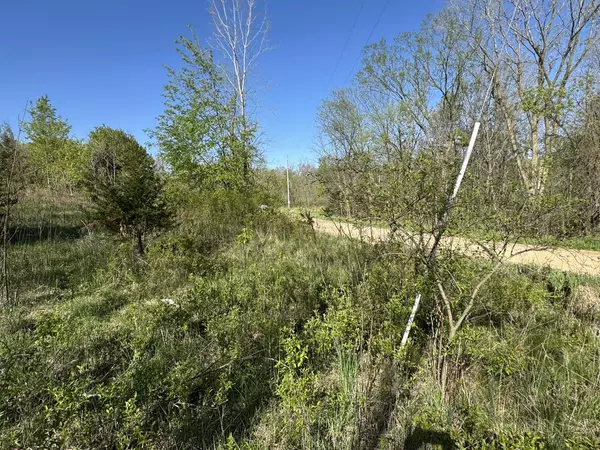 Eaton Rapids, MI 48827,Lot C Stoney Lane