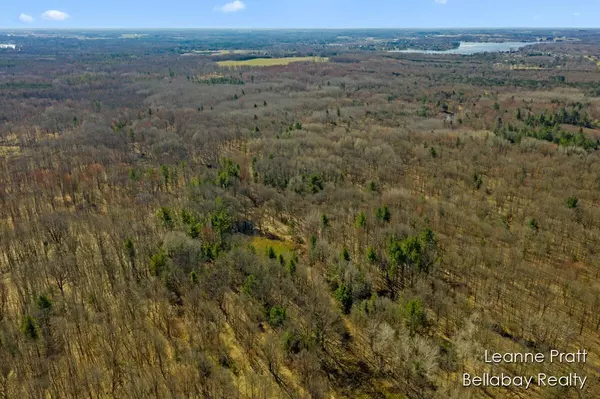Weidman, MI 48893,VL W Weidman Road