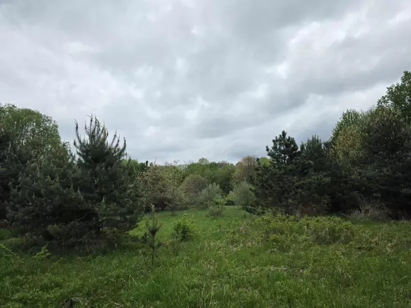 Holton Road, Holton, MI 49425