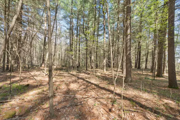 Hersey, MI 49639,8.5 Acre V/L Three Mile Road #Parcels A-L