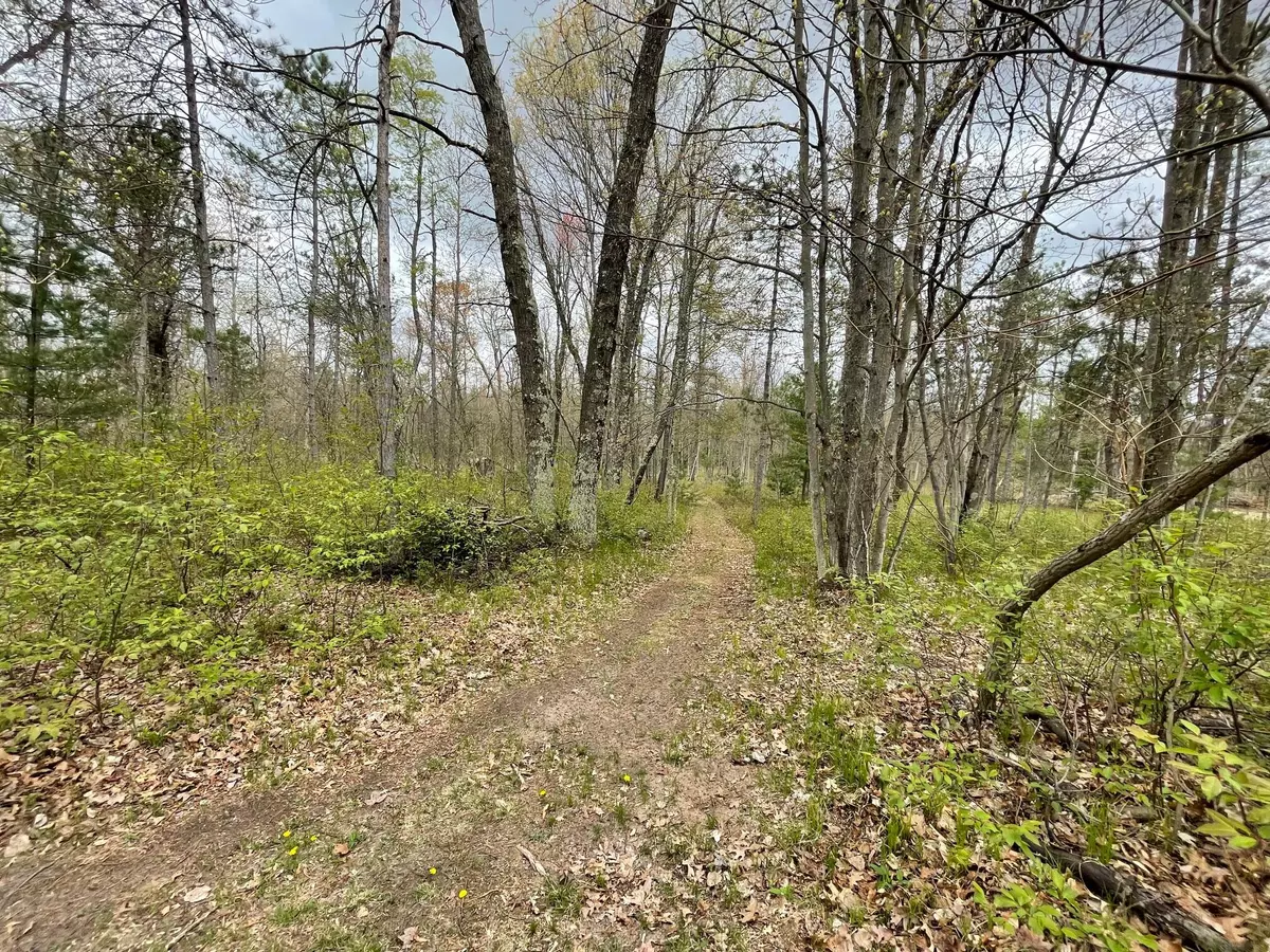 Wellston, MI 49689,V/L Caberfae Highway