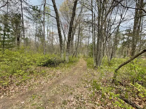 V/L Caberfae Highway, Wellston, MI 49689