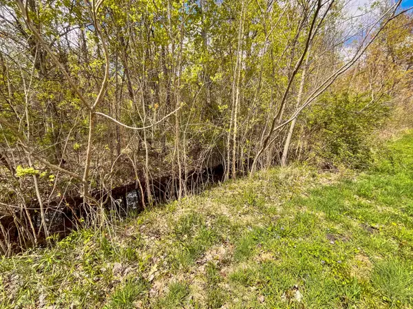 Grand Junction, MI 49056,VL 60th Street
