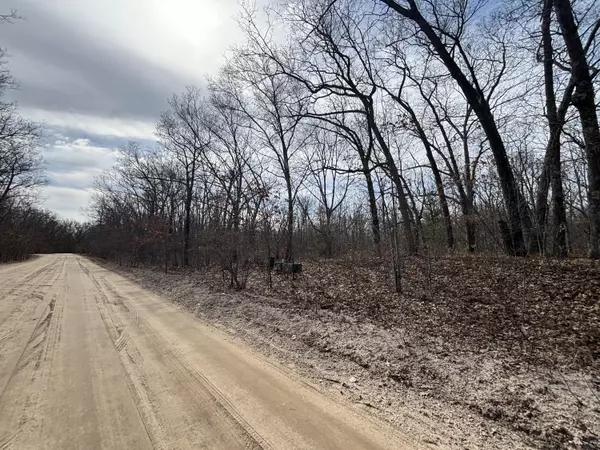 V/L 12A E Wilke Road, Rothbury, MI 49452