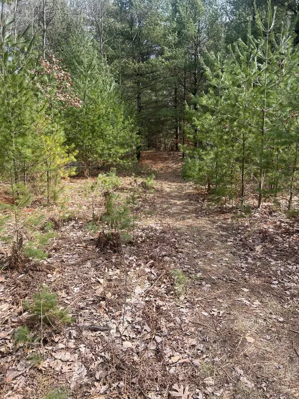 White Cloud, MI 49349,1373 N Apple Drive