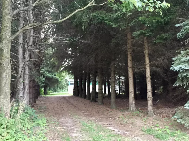 2042 Lilac Road, Hillsdale, MI 49242