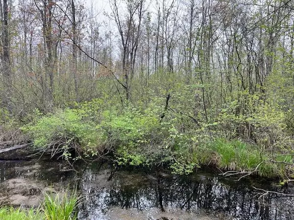 Remus, MI 49340,VL 40th Avenue