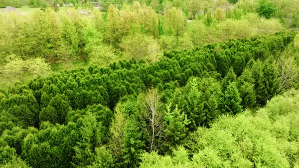 Potterville, MI 48876,0 Hartel Road