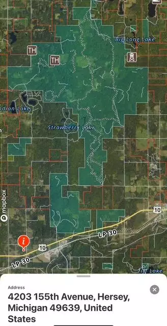 Hersey, MI 49639,4203 155th Avenue