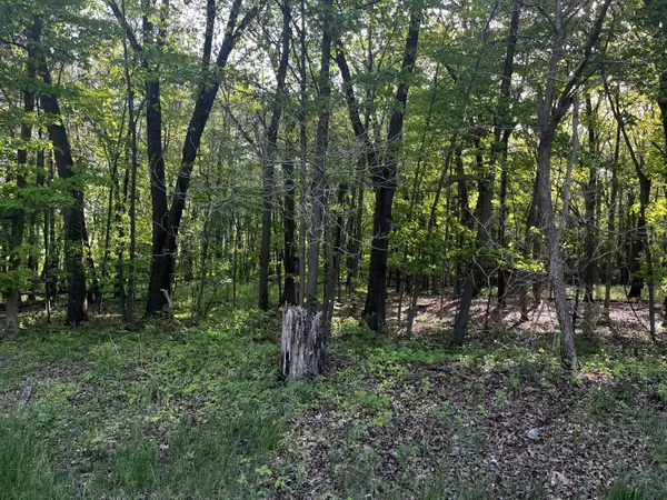 Saranac, MI 48881,Parcel A Ivan Road