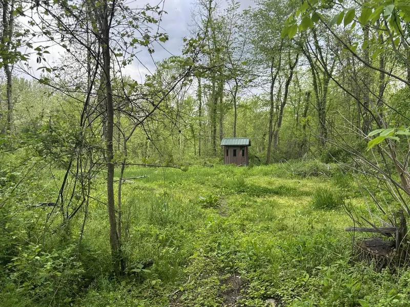 VL Litchfield Road, Quincy, MI 49082