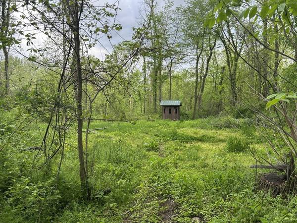 VL Litchfield Road, Quincy, MI 49082