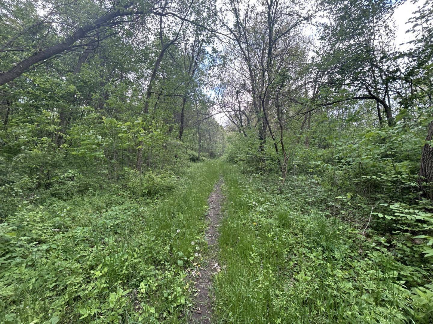 Quincy, MI 49082,VL Litchfield Road