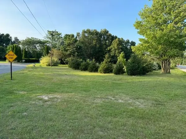 Muskegon, MI 49445,V/L Holton Road