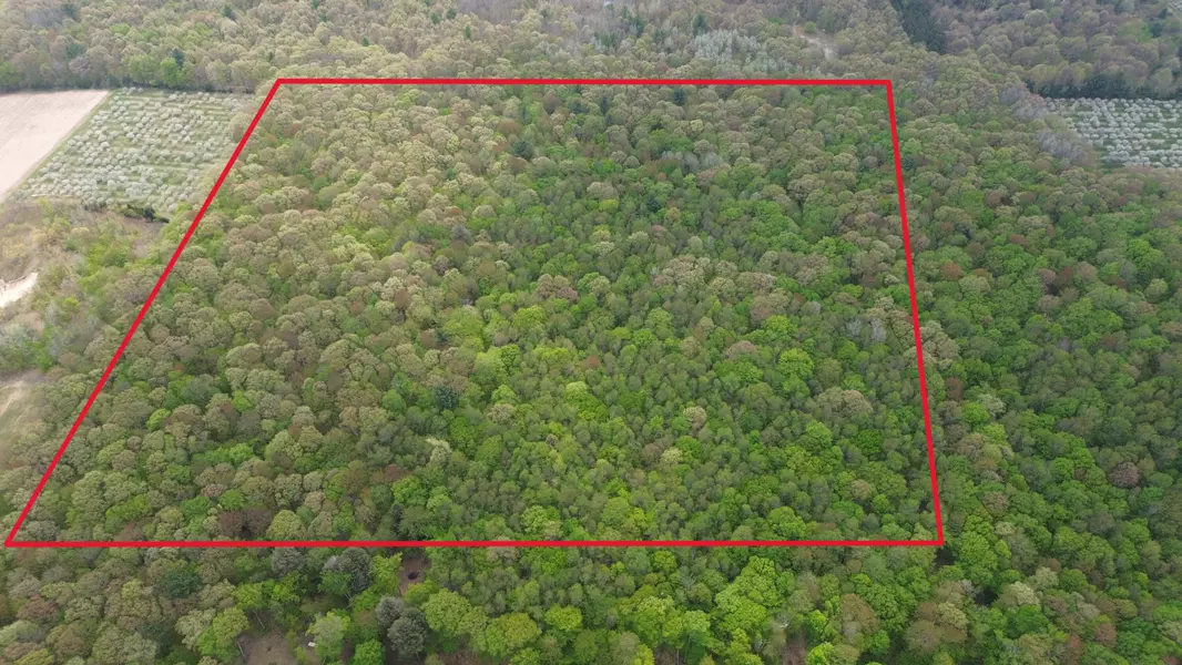 V/L 40A W Pierce Road, Shelby, MI 49455