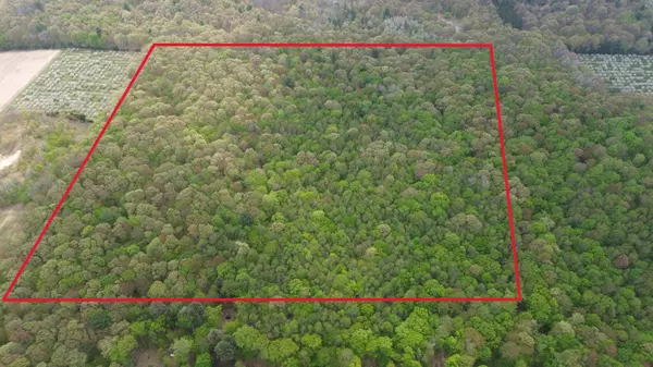 V/L 40A W Pierce Road, Shelby, MI 49455