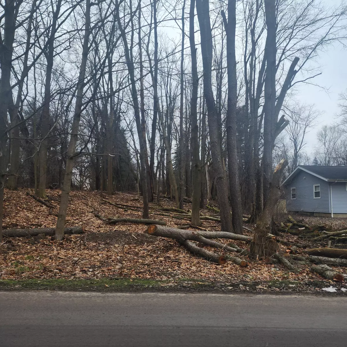 Jackson, MI 49201,Burt Ave
