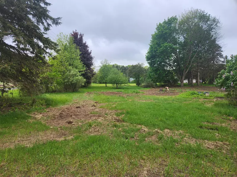 6239 N Caris Road, Vestaburg, MI 48891